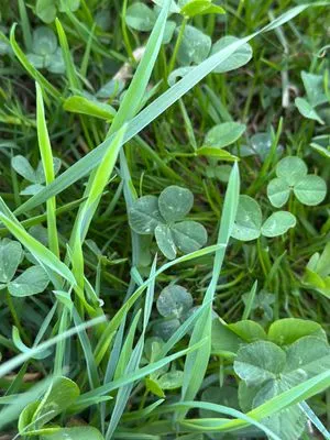 Nález #17448 – RATIBOŘ_POLE001