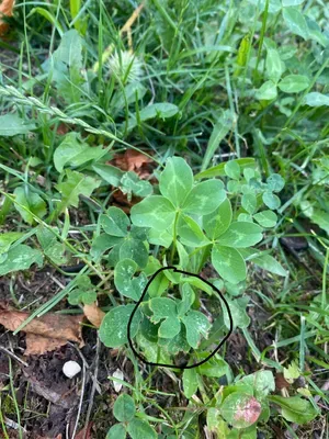 Nález #39 – ZLÍN_JSVAHY-JAVOROVÁ002