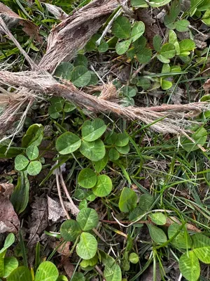 Nález #16646 – ZLÍN_JSVAHY-UTB-U5-002