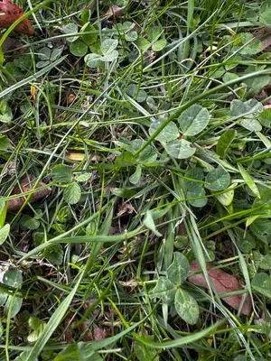 Nález #16648 – ZLÍN_JSVAHY-UTB-U5-002