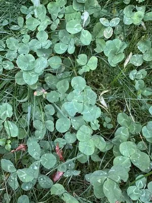 Nález #15483 – ZLÍN_HLUBOKÁ001