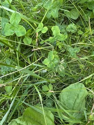 Find #21829 – ZLÍN_JSVAHY-BUDOVATELSKÁ002