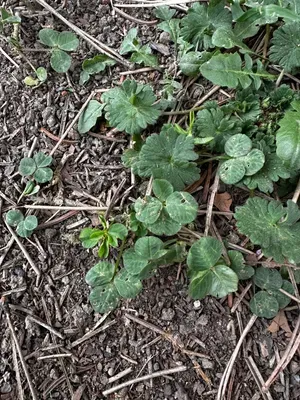 Nález #16654 – ZLÍN_JSVAHY-SPORTOVNÍ001