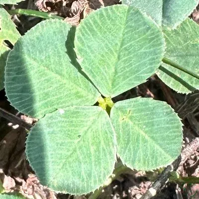 Nález #2868