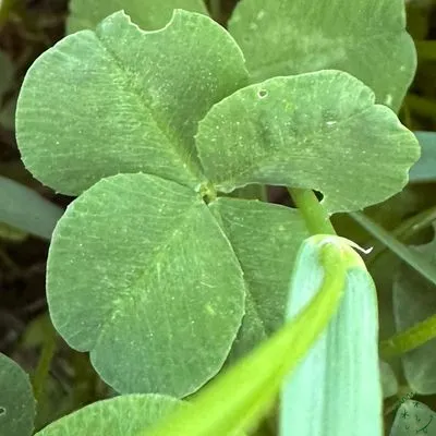 Nález #7220