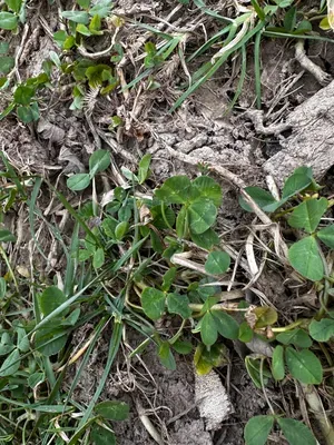 Nález #16212 – RATIBOŘ_POLE001b