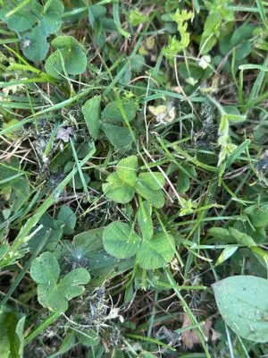 Find #17713 – ZLÍN_JSVAHY-STŘEDOVÁ001
