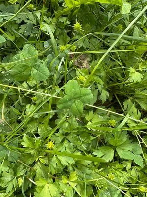 Find #21827 – ZLÍN_JSVAHY-BUDOVATELSKÁ002