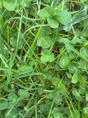 Nález #16898 – ZLÍN_JSVAHY-STŘEDOVÁ001