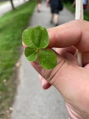 Nález #45 – HLUBOKÁ NAD VLTAVOU_GOLFCLUB001