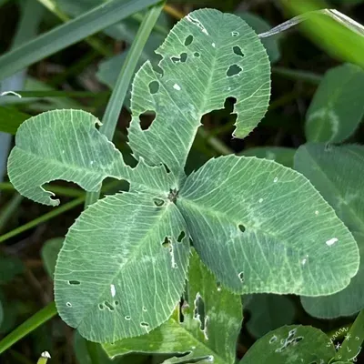 Nález #27043
