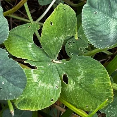 Find #28347