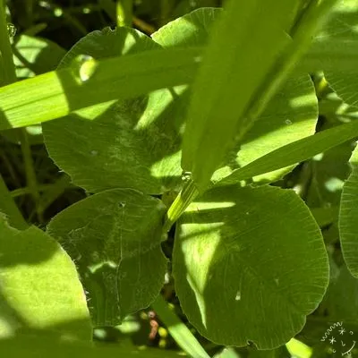Nález #7900