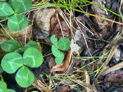 Nález #16921 – ZLÍN_JSVAHY-NSTR003