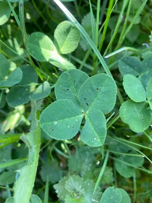 Nález #173 – ZLÍN_JSVAHY-NSTR002