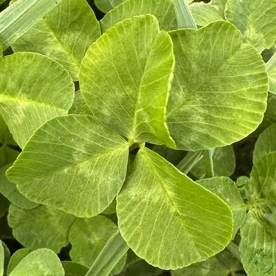 Nález #6762