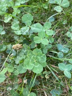 Nález #95 – ZLÍN_JSVAHY-UTB-U5-002