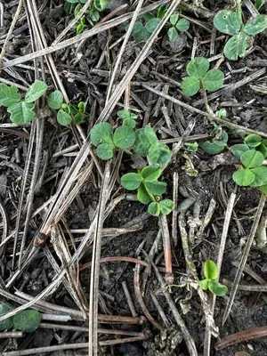 Nález #16092 – ZLÍN_JSVAHY-SPORTOVNÍ001