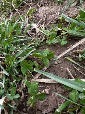 Nález #16219 – RATIBOŘ_POLE001b