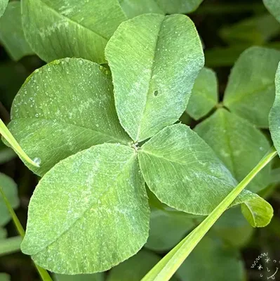 Nález #22646