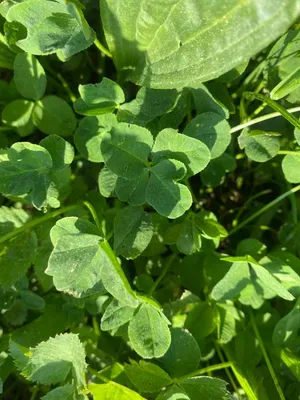 Nález #152 – NEEXISTUJE-ZLÍN_JSVAHY-JAVOROVÁ002