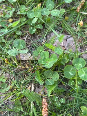 Nález #16942 – ZLÍN_JSVAHY-UTB-U5-001b