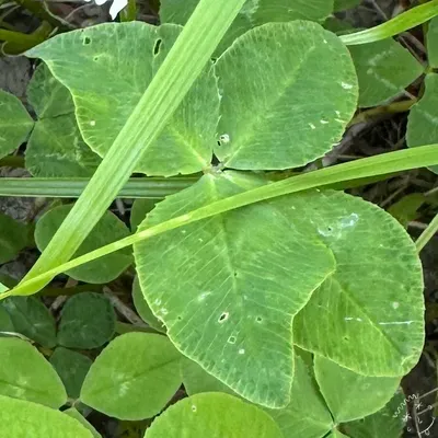 Nález #22216