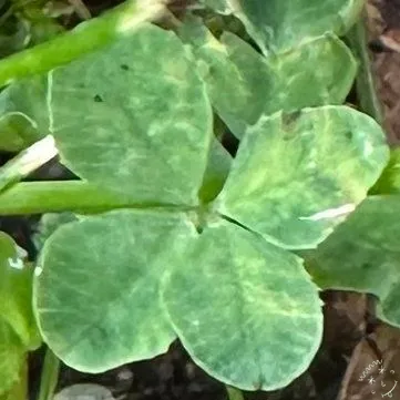 Nález #31669