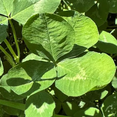 Nález #7985