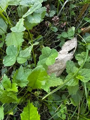 Nález #14761 – ZLÍN_JSVAHY-UTB-U5-Z002