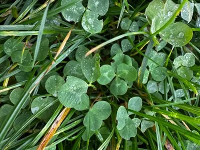 Nález #15081 – ZLÍN_BAŤŮVPARK001