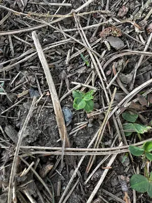 Nález #16096 – ZLÍN_JSVAHY-SPORTOVNÍ001