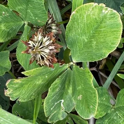 Nález #28104