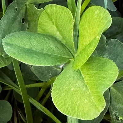Nález #18514