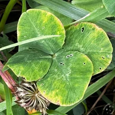 Find #28199