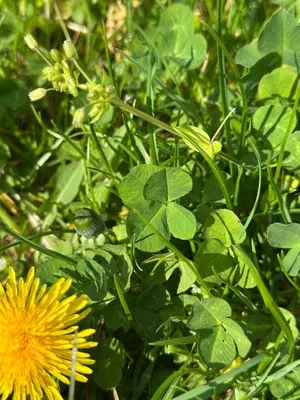 Nález #16897 – ZLÍN_JSVAHY-STŘEDOVÁ001