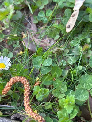 Nález #16939 – ZLÍN_JSVAHY-UTB-U5-001b