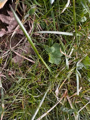 Nález #16214 – RATIBOŘ_POLE001b