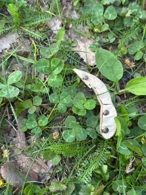 Nález #16940 – ZLÍN_JSVAHY-UTB-U5-001b