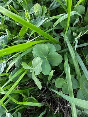 Nález #14414