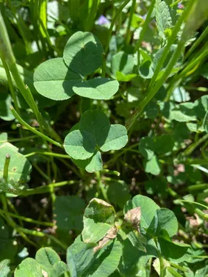 Nález #171 – ZLÍN_JSVAHY-UTB-U5-002b