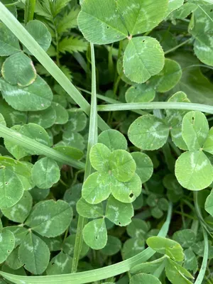 Nález #91 – HOŠŤÁLKOVÁ001