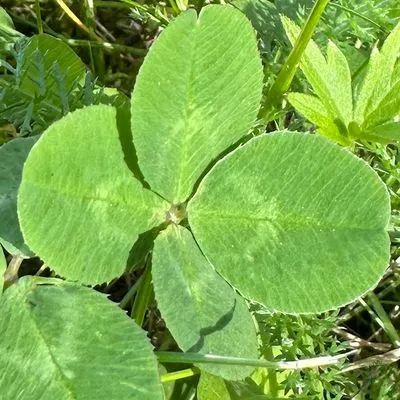 Nález #2746