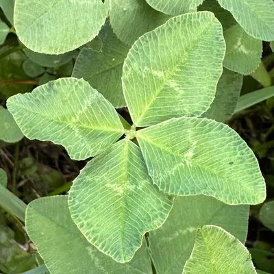 Nález #5362