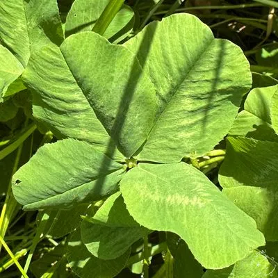 Nález #7904