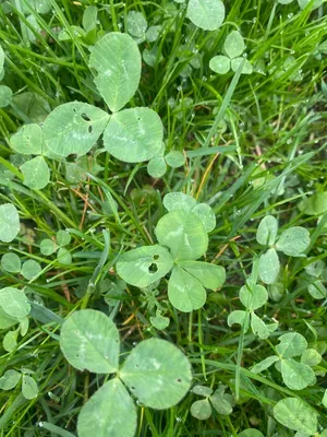 Nález #107 – ZLÍN_UNIVERZITNÍ-PARK001