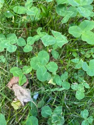 Find #199