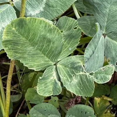 Nález #27508