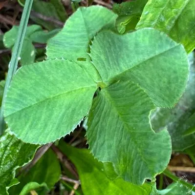 Nález #5897