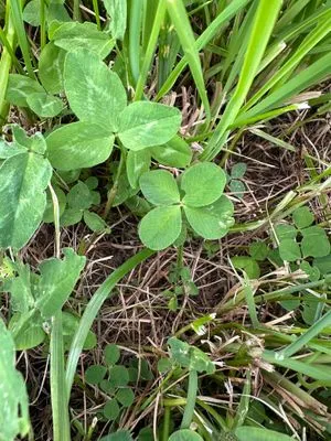 Nález #14218